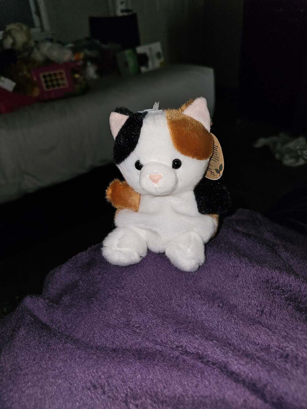 Peebs Calico Cat - Cute Palm Pals Plushies - Aurora